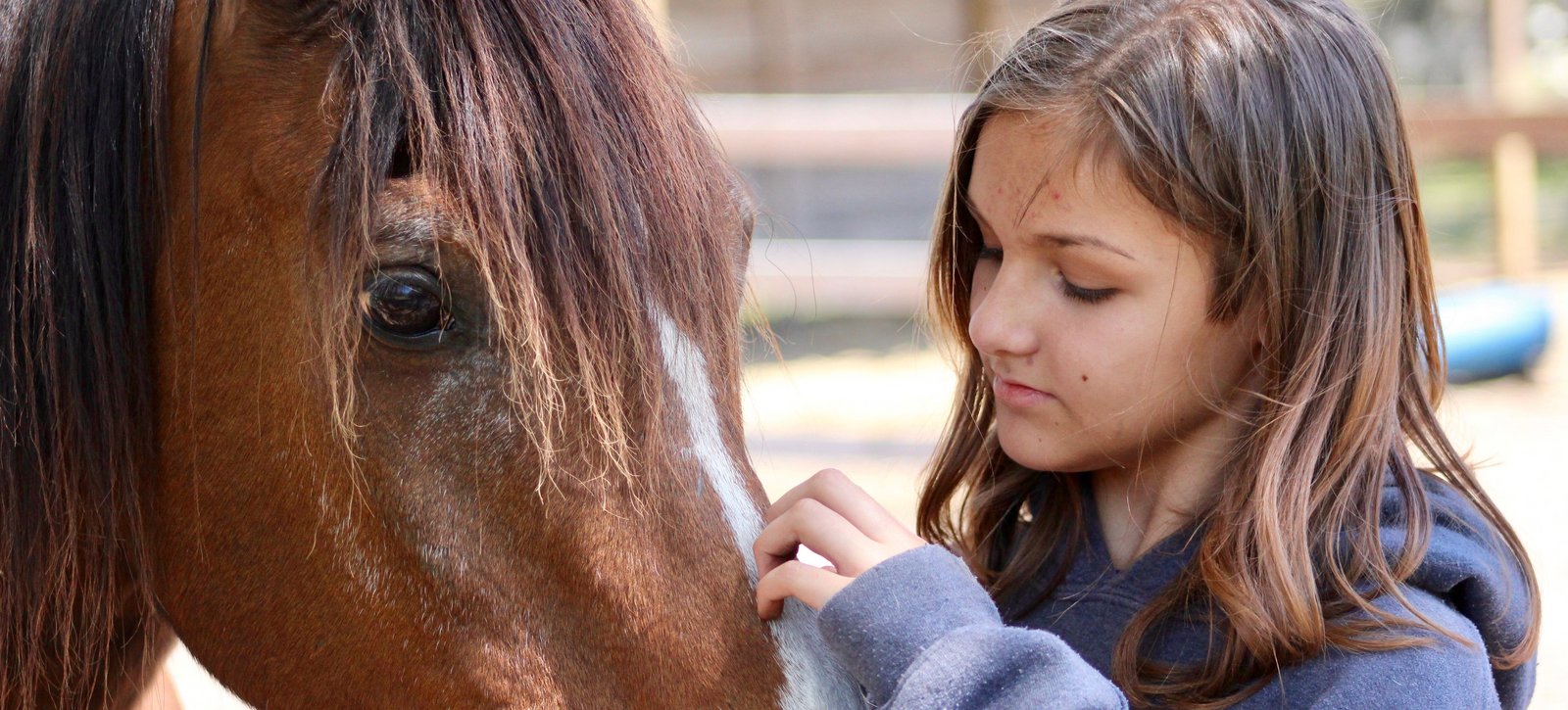 Mädchen, welches ein Pferd streichelt