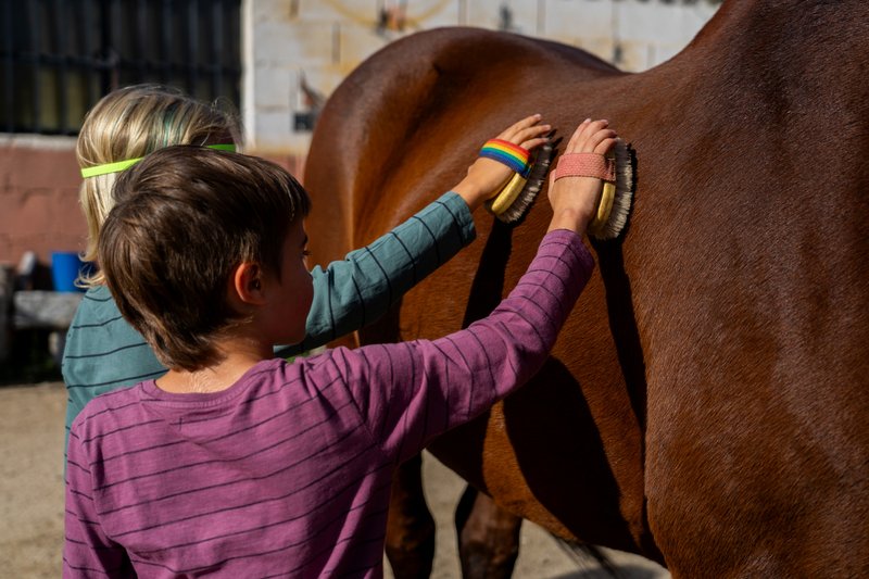 Kinder die ein Pferd striegeln