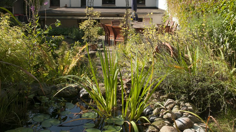 Blick durch den Garten zum Treffpunkt Im Treff