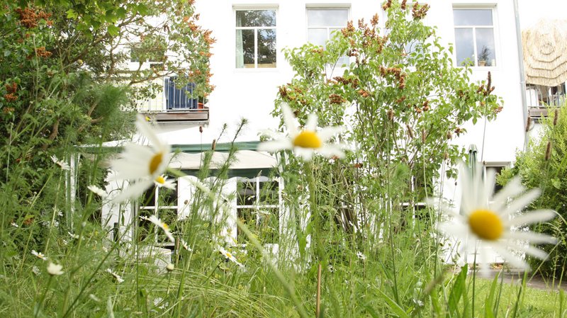 Blick durch den Garten auf den Treffpunkt Alstertreff